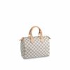 Louis Vuitton Speedy 25 N41371
